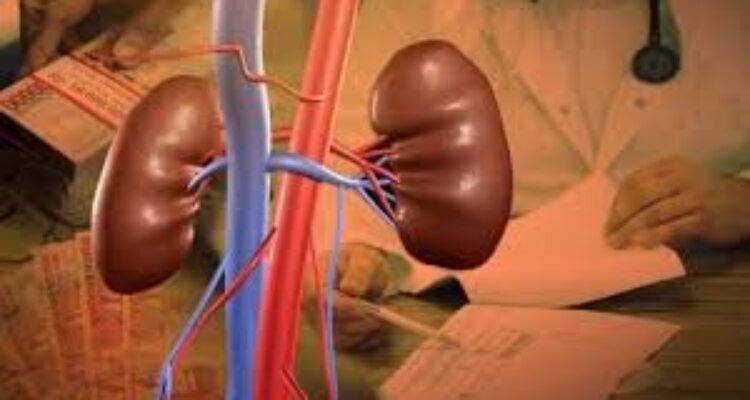 harga hati manusia, black market organ, perdagangan organ ilegal, harga organ tubuh, hati liver black market, jual beli organ manusia, eksploitasi organ, pasar gelap organ